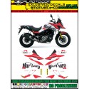 VSTROM DL 650 2017 - REPLICA GASTON RAHIER + XT
